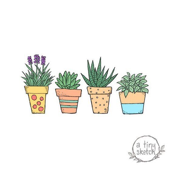 Featured image of post Cute Plants Transparent Background
