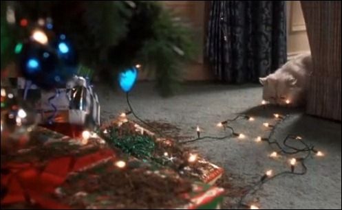 Featured image of post National Lampoon's Christmas Vacation Cat Gif