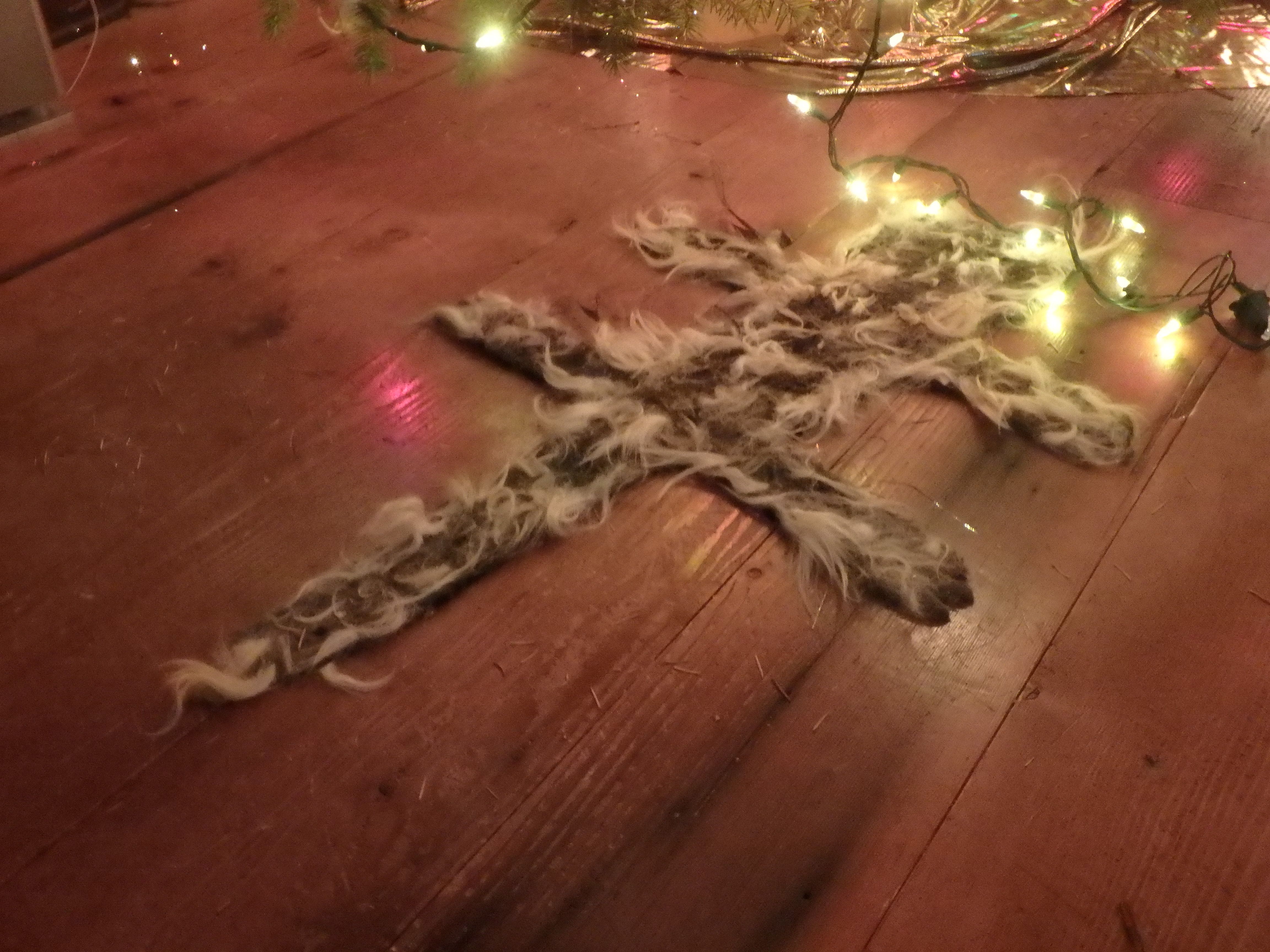 Featured image of post National Lampoon's Christmas Vacation Cat